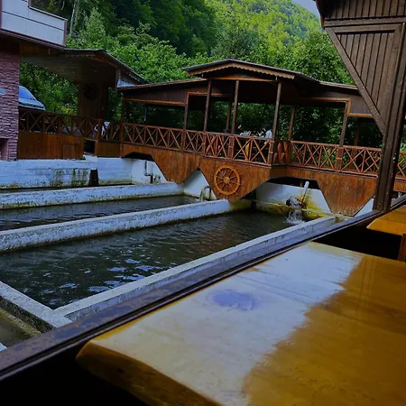 Isikli Kale Homestay Caykara
