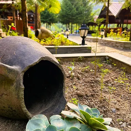 Homestay Isikli Kale Caykara