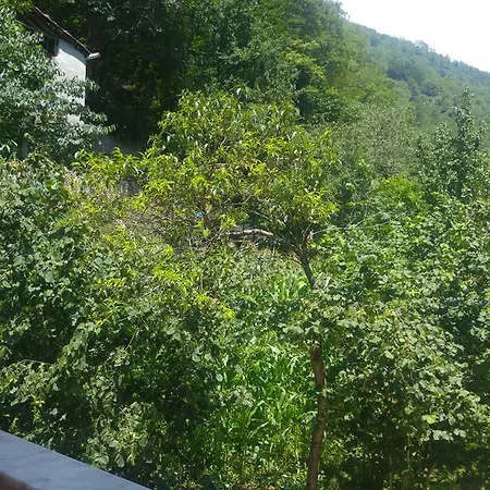 Isikli Kale *