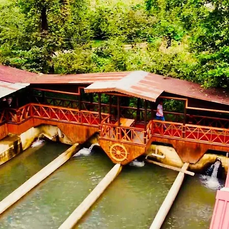 Homestay Isikli Kale Caykara